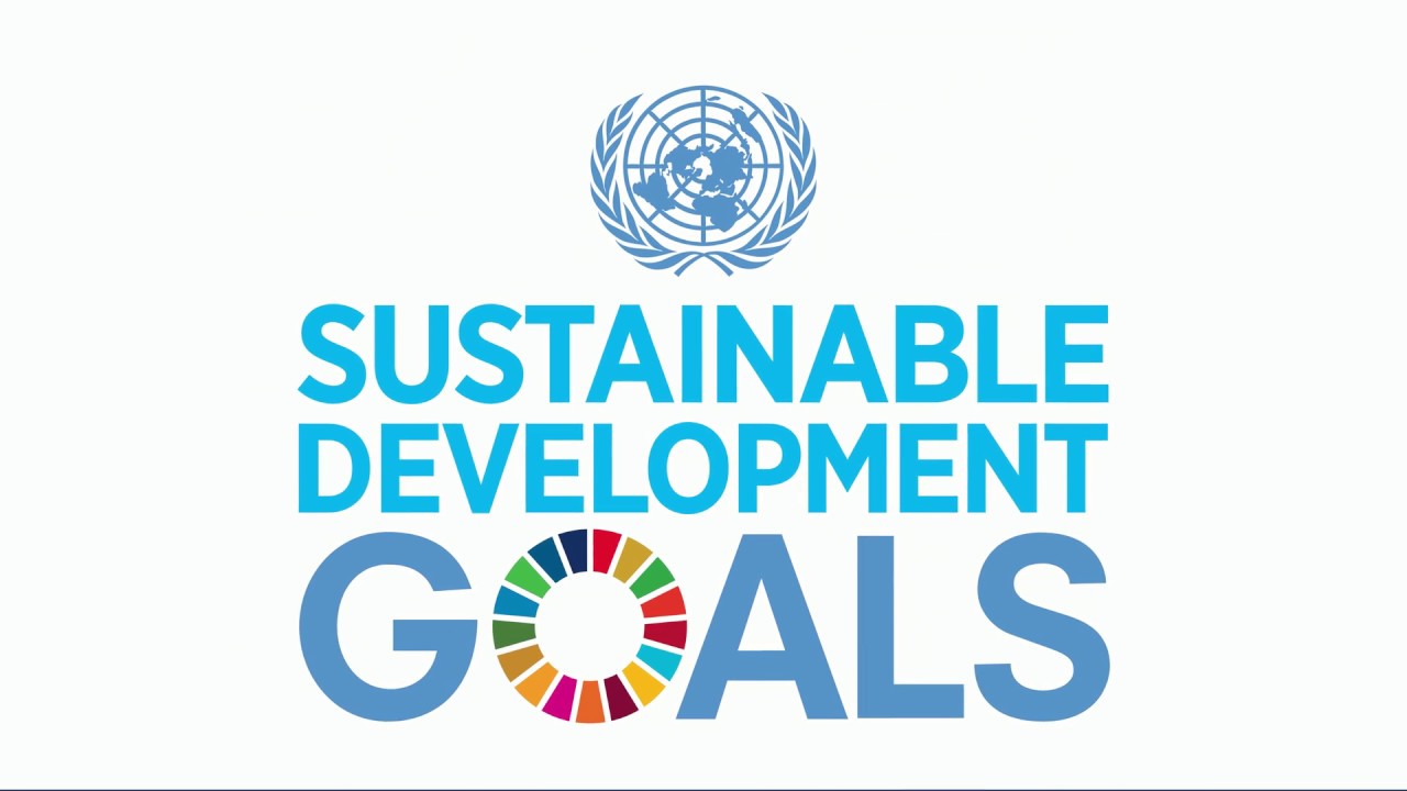 Sustainable Development Goals Wujudkan Indonesia Minim Kemiskinan