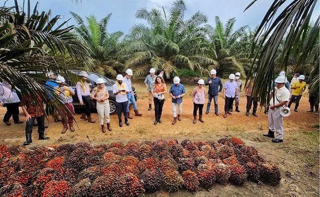 Program Corporate Social Responsibility (CSR) sebagai Nilai Strategis Agroindustri Kelapa Sawit