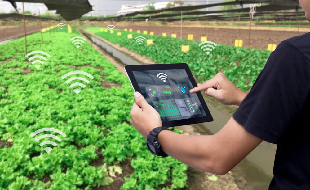 Penerapan Teknologi Informasi Pada Sektor Pertanian di Era Society 5.0